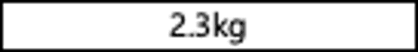 Realistic 2.3kg Women's Full Hips Torso - 8